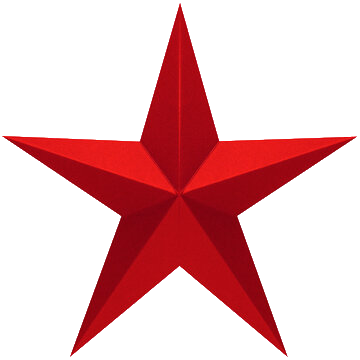 Red Star Icon